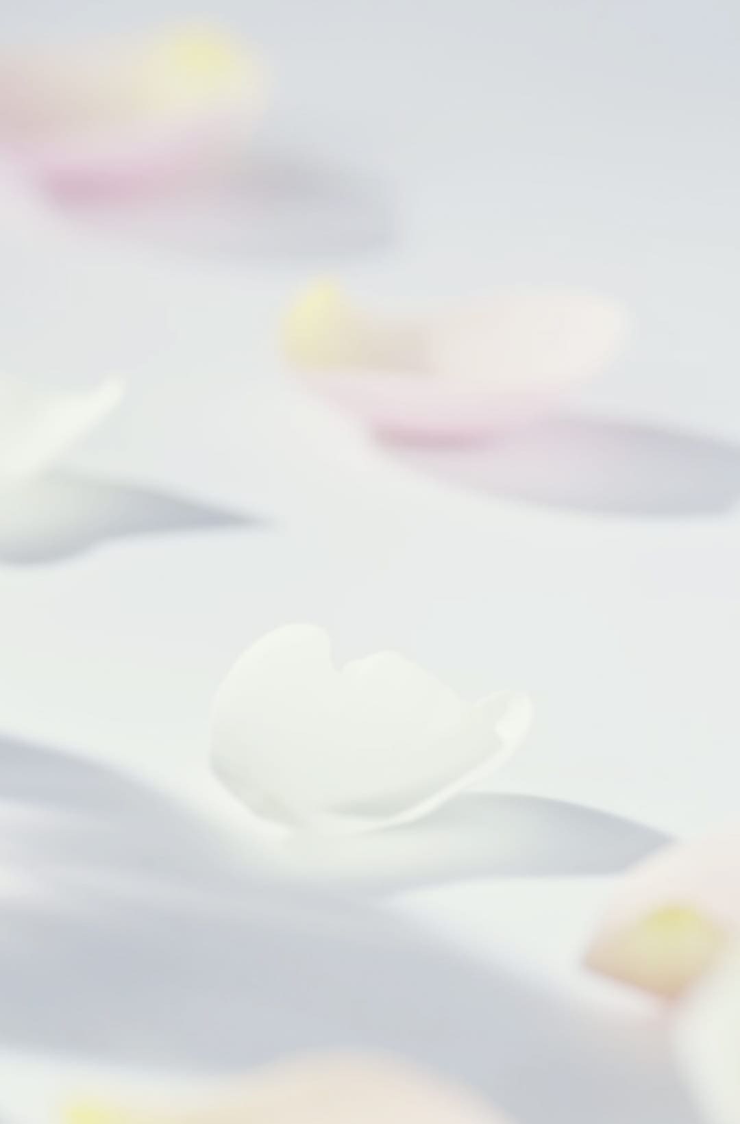 Crystal Bloom 10th Anniversary | JILL STUART Beauty 公式オンライン