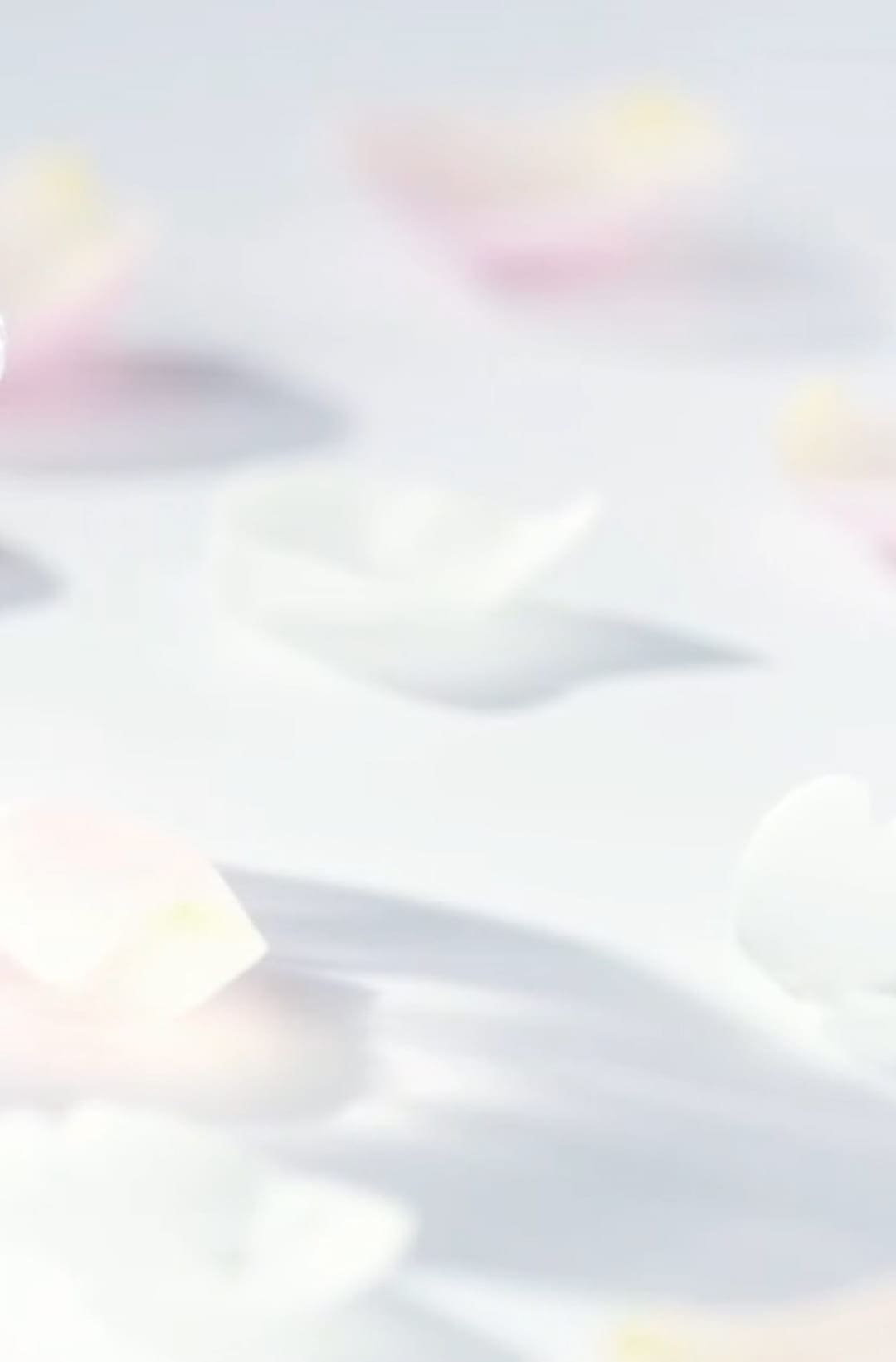 Crystal Bloom 10th Anniversary | JILL STUART Beauty 公式オンライン