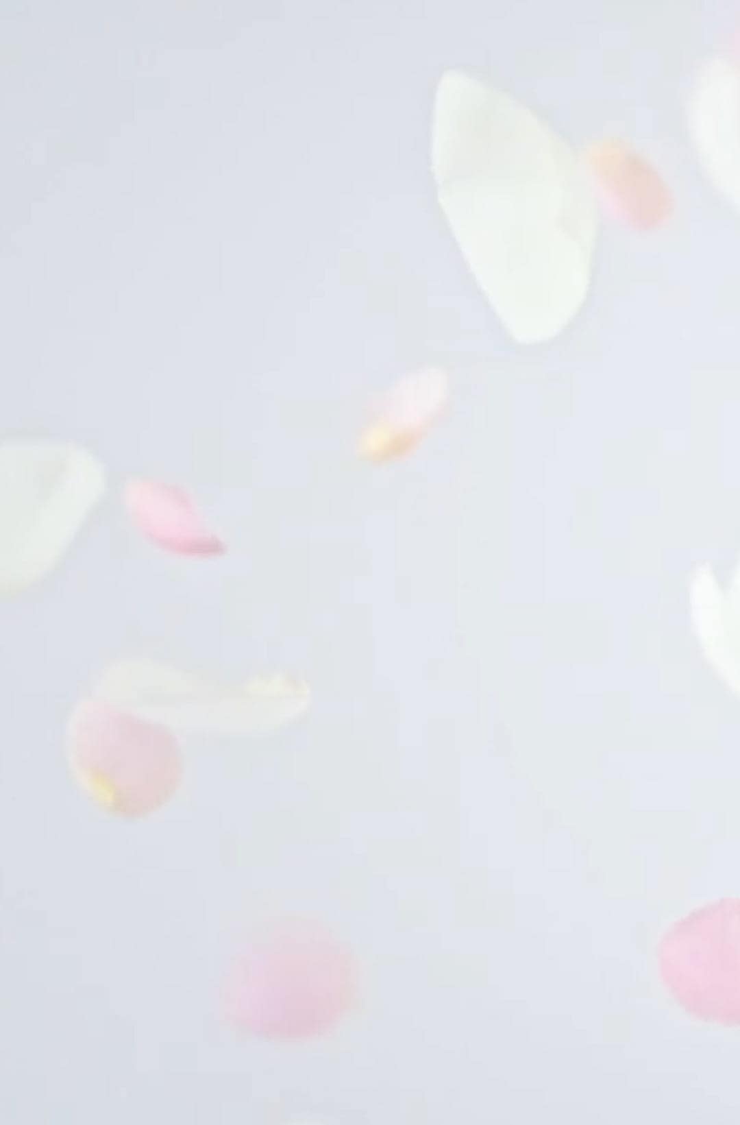 Crystal Bloom 10th Anniversary | JILL STUART Beauty 公式オンライン