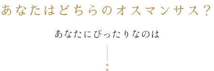 あなたはどちらのオスマンサス？あなたにぴったりなのは