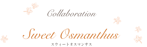 Collaboration with Sweet Osmanthus