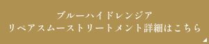 ブルーハイドレンジアリペアスムーストリートメント詳細はこちら