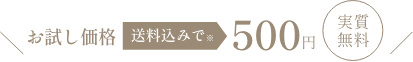 お試し価格 送料込みで500円！実質無料