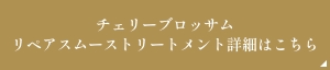 チェリーブロッサムリペアスムーストリートメント詳細はこちら
