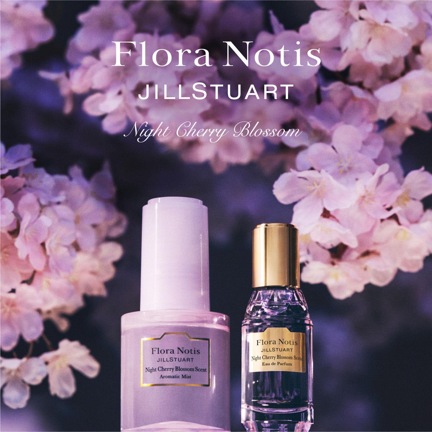 2月21日発売】Night Cherry Blossom 夜の静寂の中に色香が垣間見