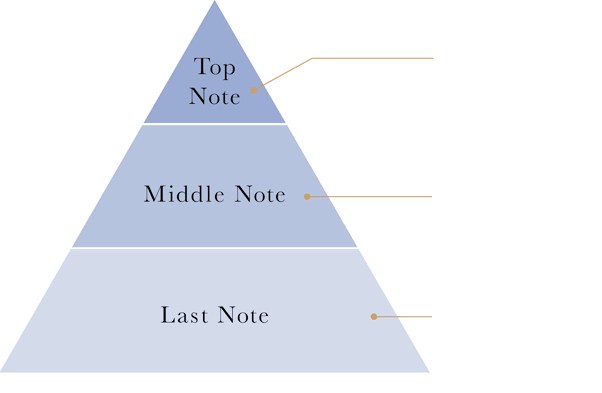 Top Note スターフルーツ、ストロベリー、ピンクペッパー(天然香料) / Middle Note ローズ(天然香料)、ジャスミン(天然香料)、マグノリア / Last Note セダーウッド (天然香料)、ムスク、アンバ