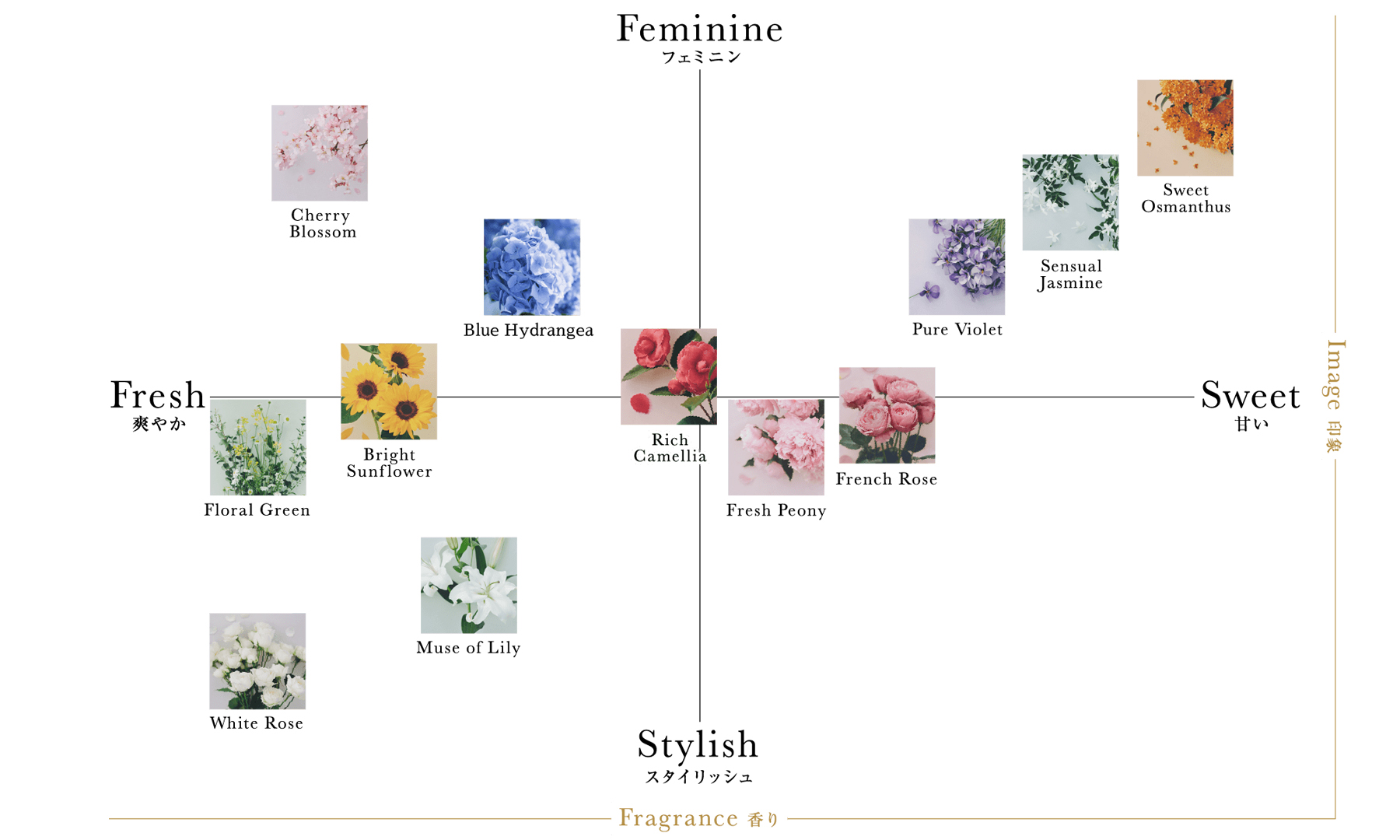 Fragrance Chartの図