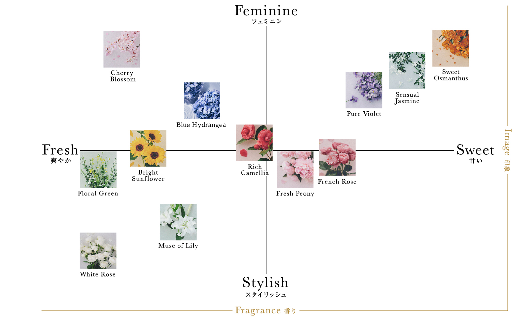 Fragrance Chartの図