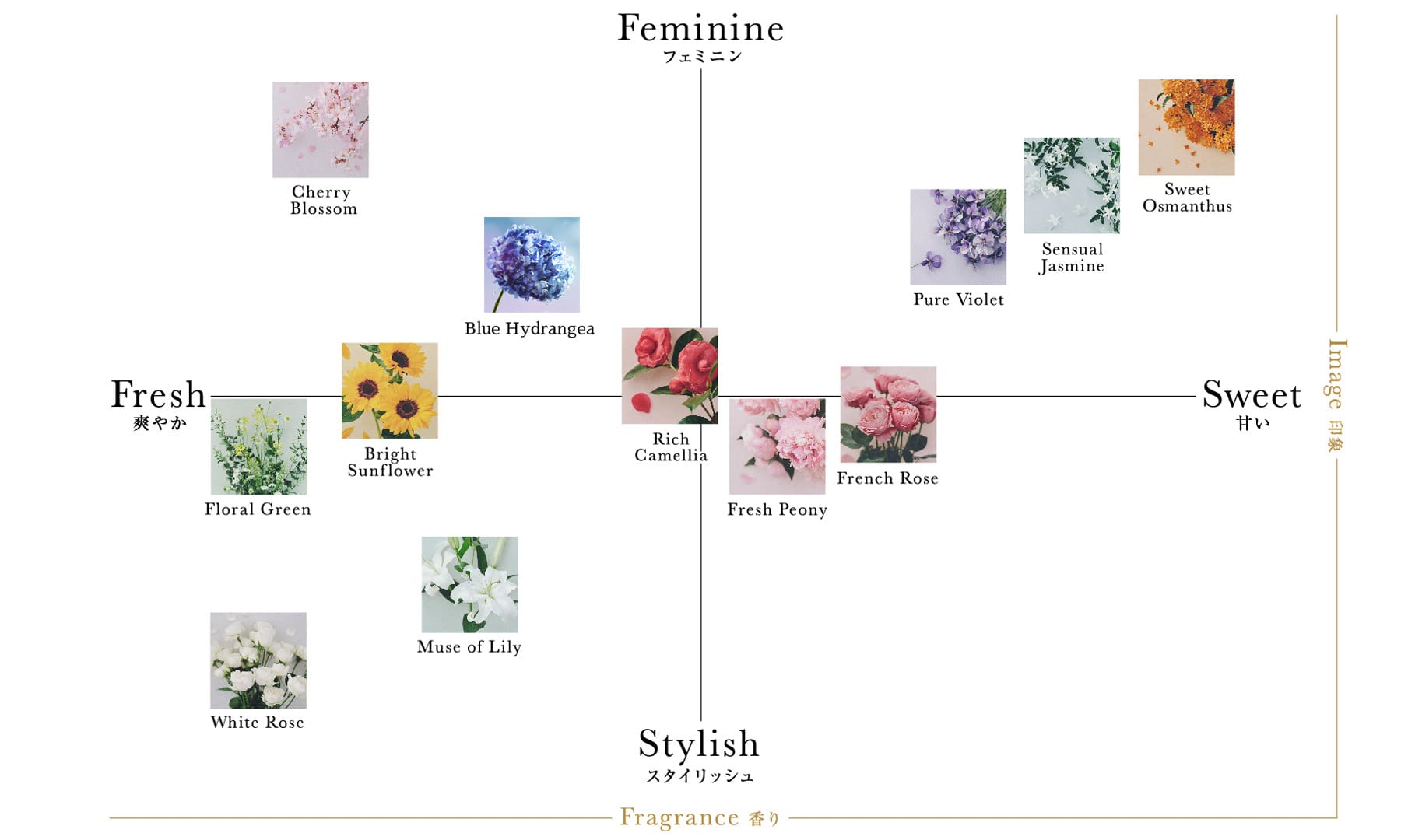 Fragrance Chartの図