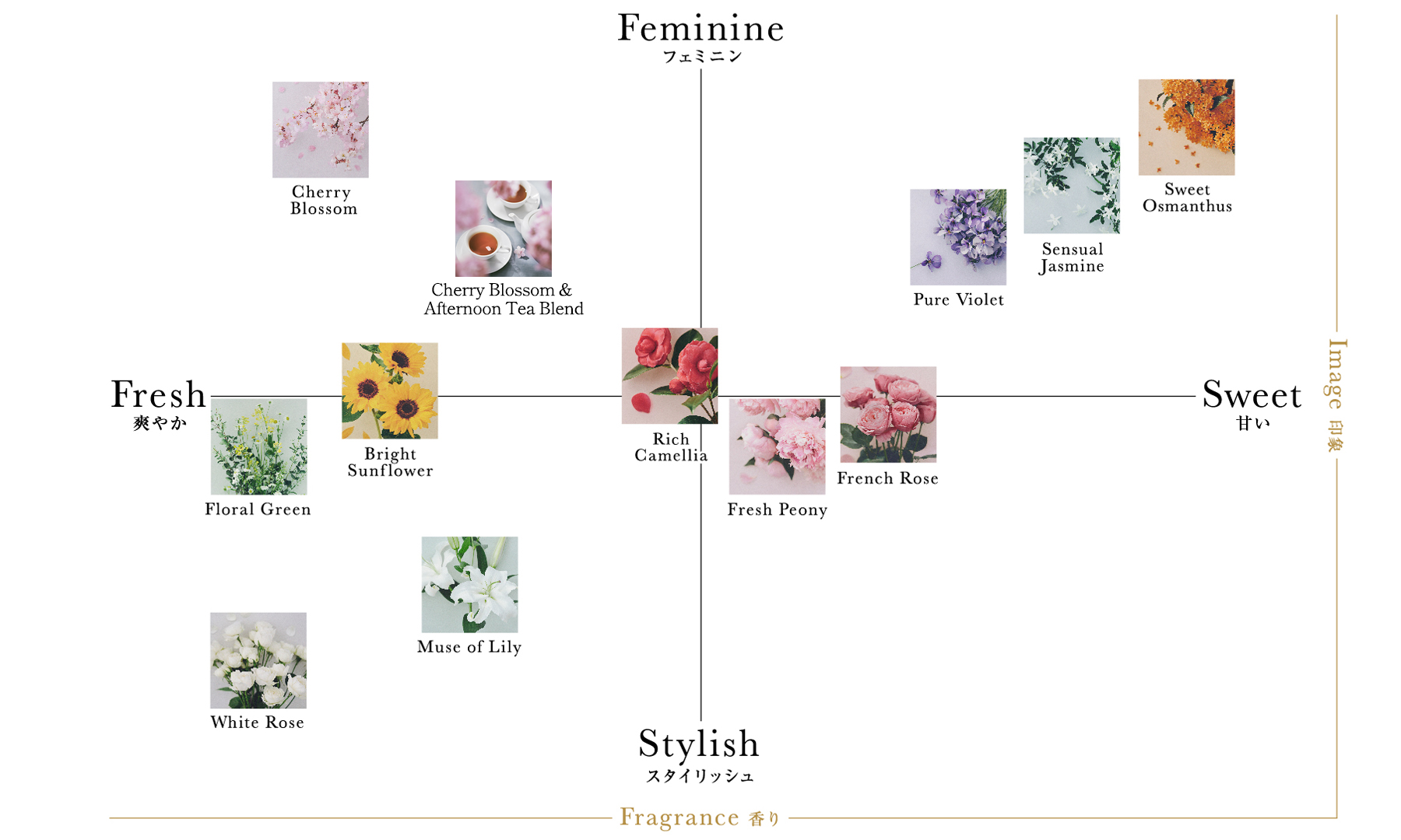 Fragrance Chartの図