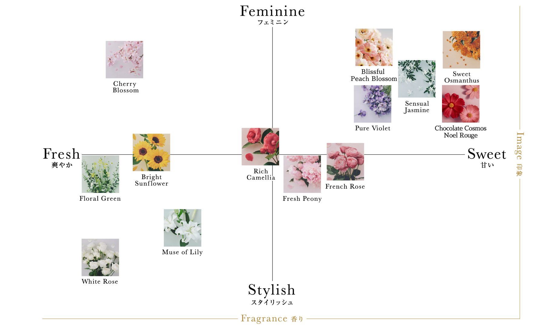 Fragrance Chartの図