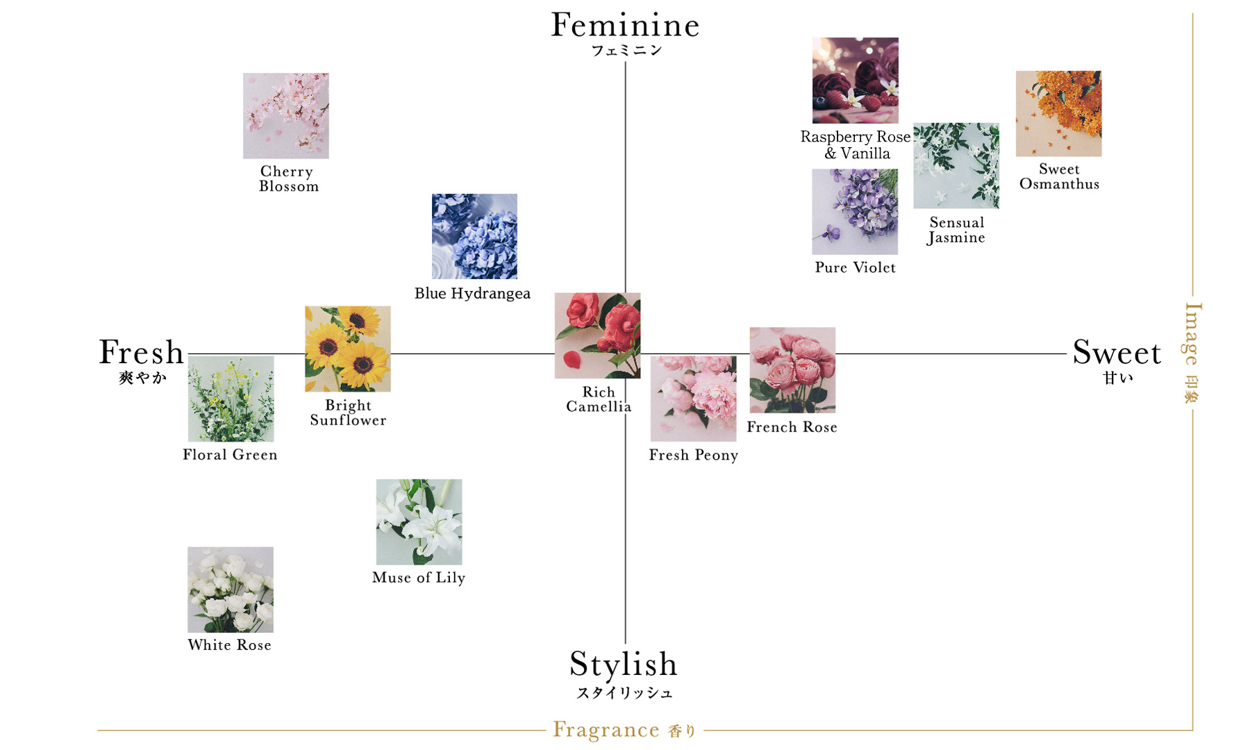 Fragrance Chartの図