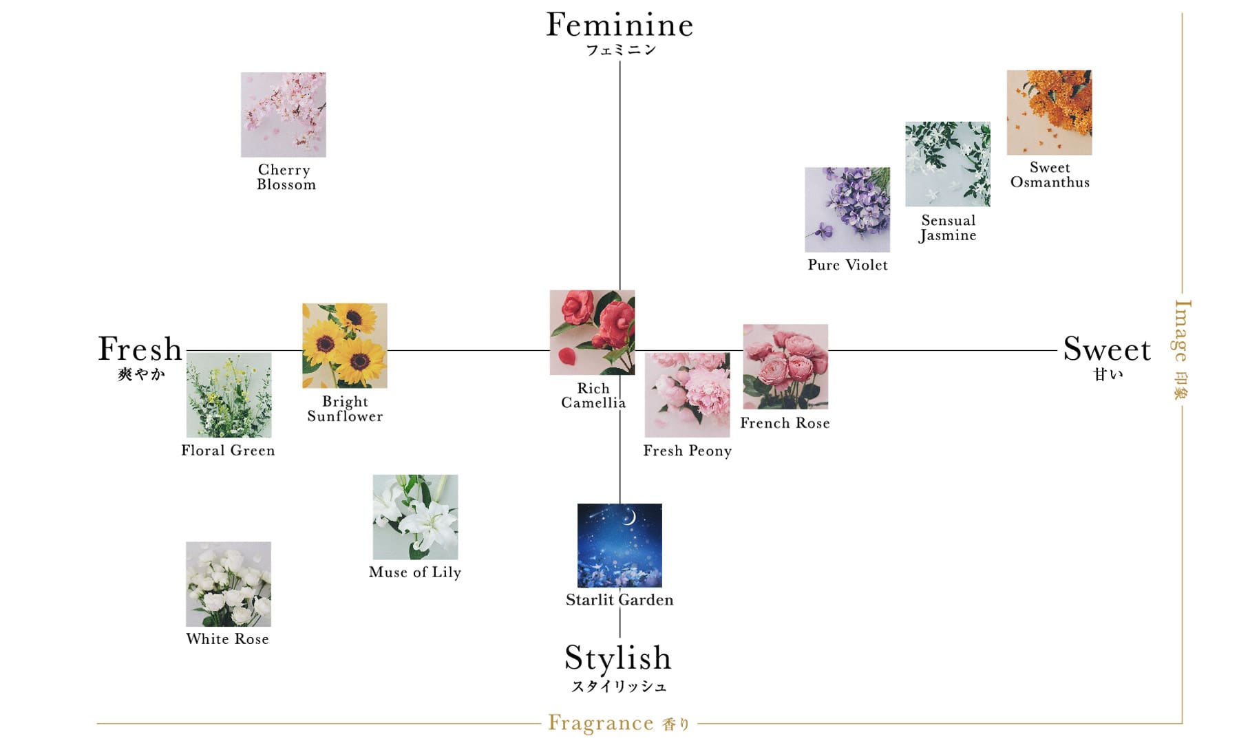 Fragrance Chartの図