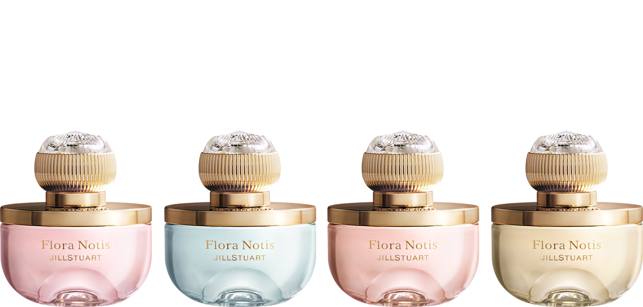 Iconic Bloom
