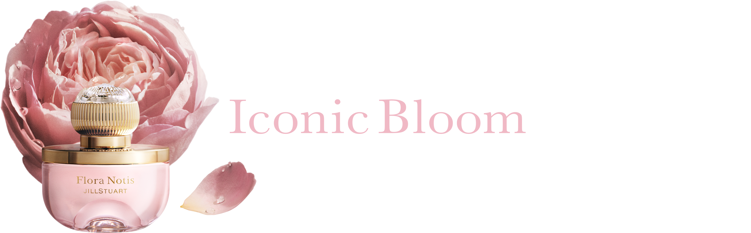 Iconic Bloom