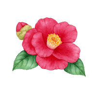 Rich Camellia リッチカメリア 香り Flora Notis フローラノーティス Jill Stuart Rich Camellia リッチカメリア 香り Flora Notis フローラノーティス Jill Stuart