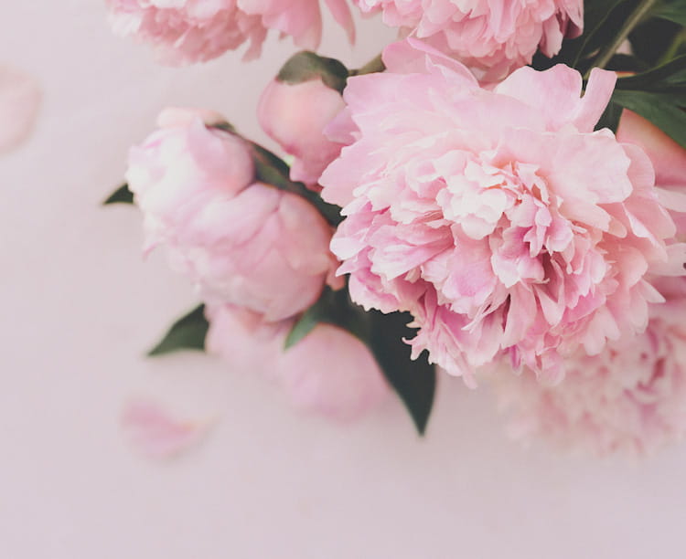 Flora Notis JILL STUART（フローラノーティス ジルスチュアート）