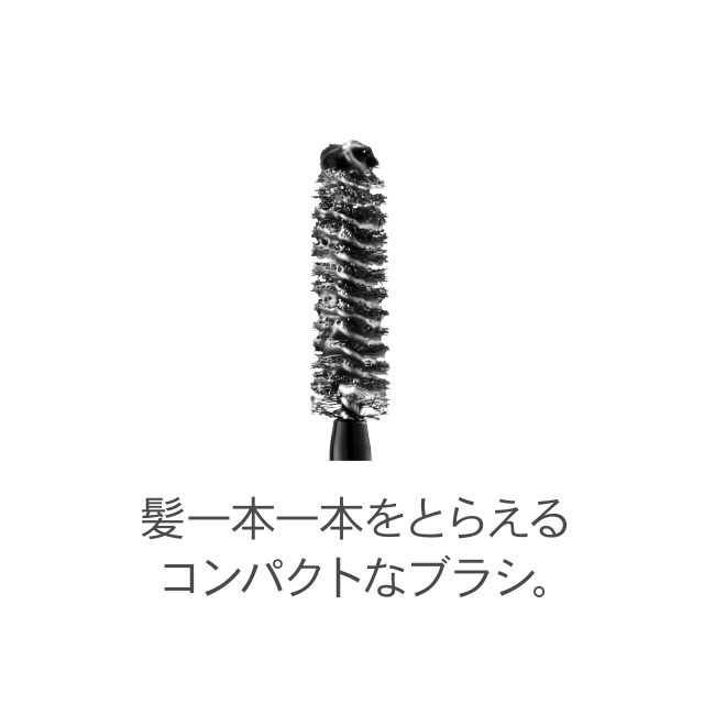 ラシャスベリー　ポイントヘアスティック