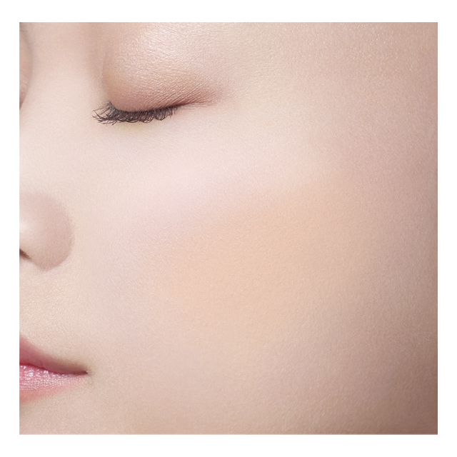 パステルペタル ブラッシュ