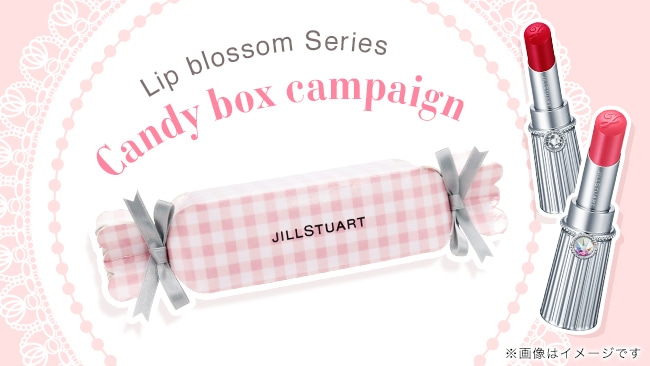 JILL STUART GIFT