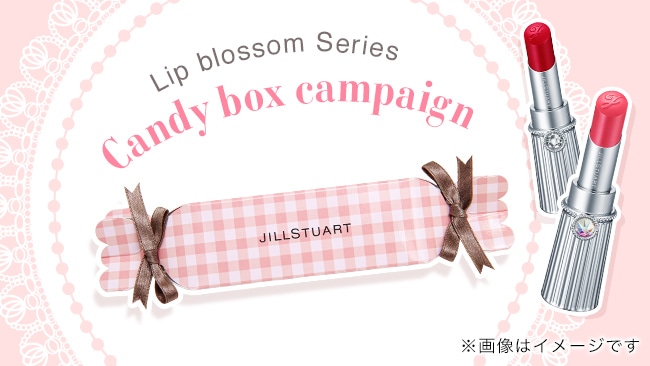 JILL STUART GIFT