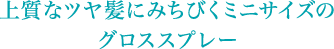 上質なツヤ髪にみちびくミニサイズのグロススプレー