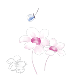 JILL STUART Crystal Bloom petal couture eyes duo Limited