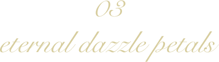 03 eternal dazzle petals