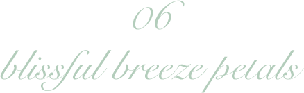 06 blissful breeze petals